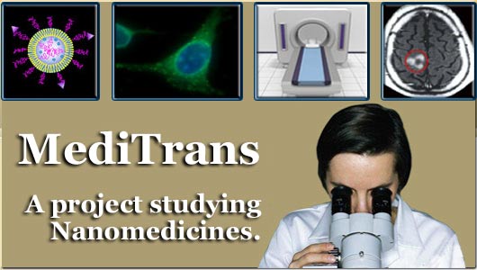 This is the main logo - Meditrans; A project dealing with targeted Nanomedicines.